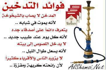 nsihton