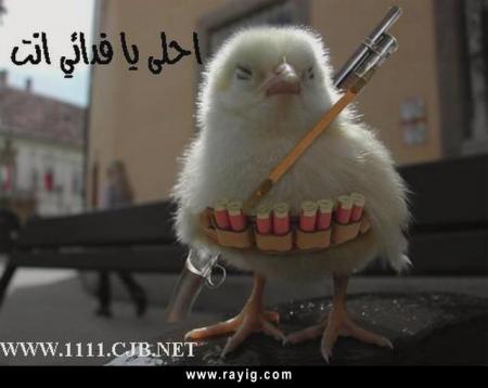 ila ljihade