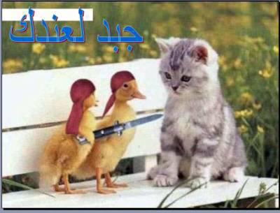 la dwa ithwa